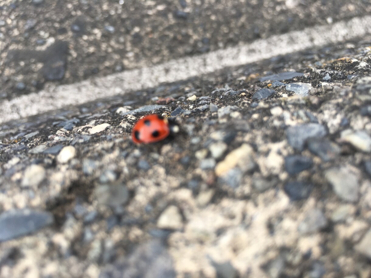 どんなお話でも真摯に聞かせていただきます タメて役に立つのはお金だけ！発散しましょう！ イメージ2