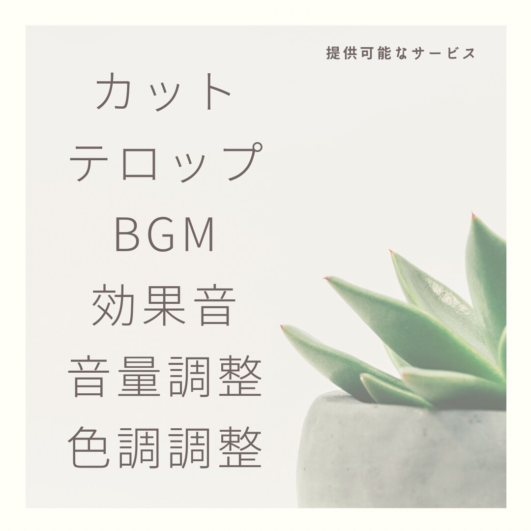 YouTube／SNS／広告動画の編集承ります あなたの想いを形にします。ぜひご相談から！ イメージ4
