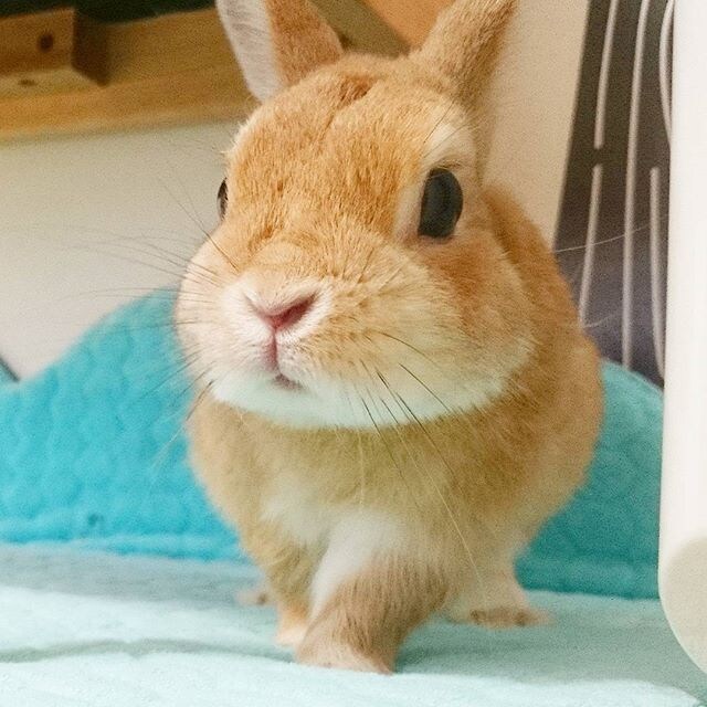 貴方の彼女or友達になります イメージ1
