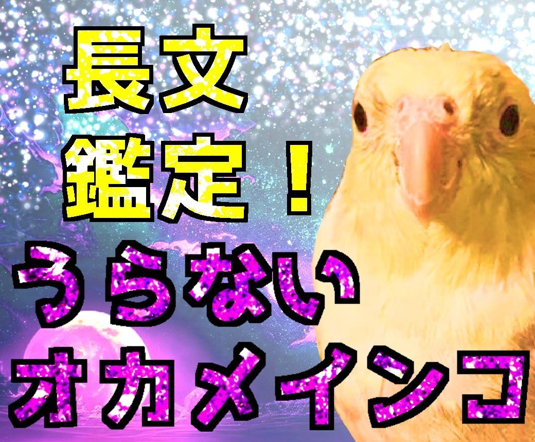 西洋占星術の基本+ハウス+アスペクトを占います 【おおきなオカメインコうらない】ここまで占えばもう完璧！ イメージ1