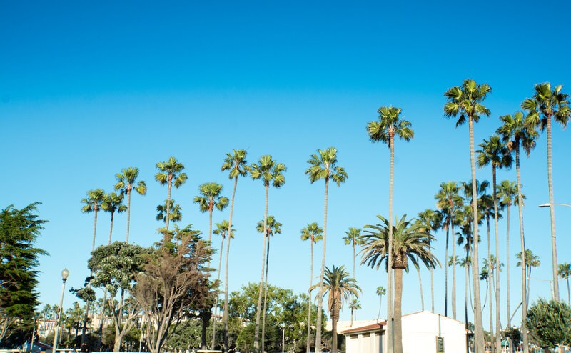 あなたの大切な商品をアメリカで撮影いたします カリフォルニア在住フォトグラファーがサポート！ イメージ1