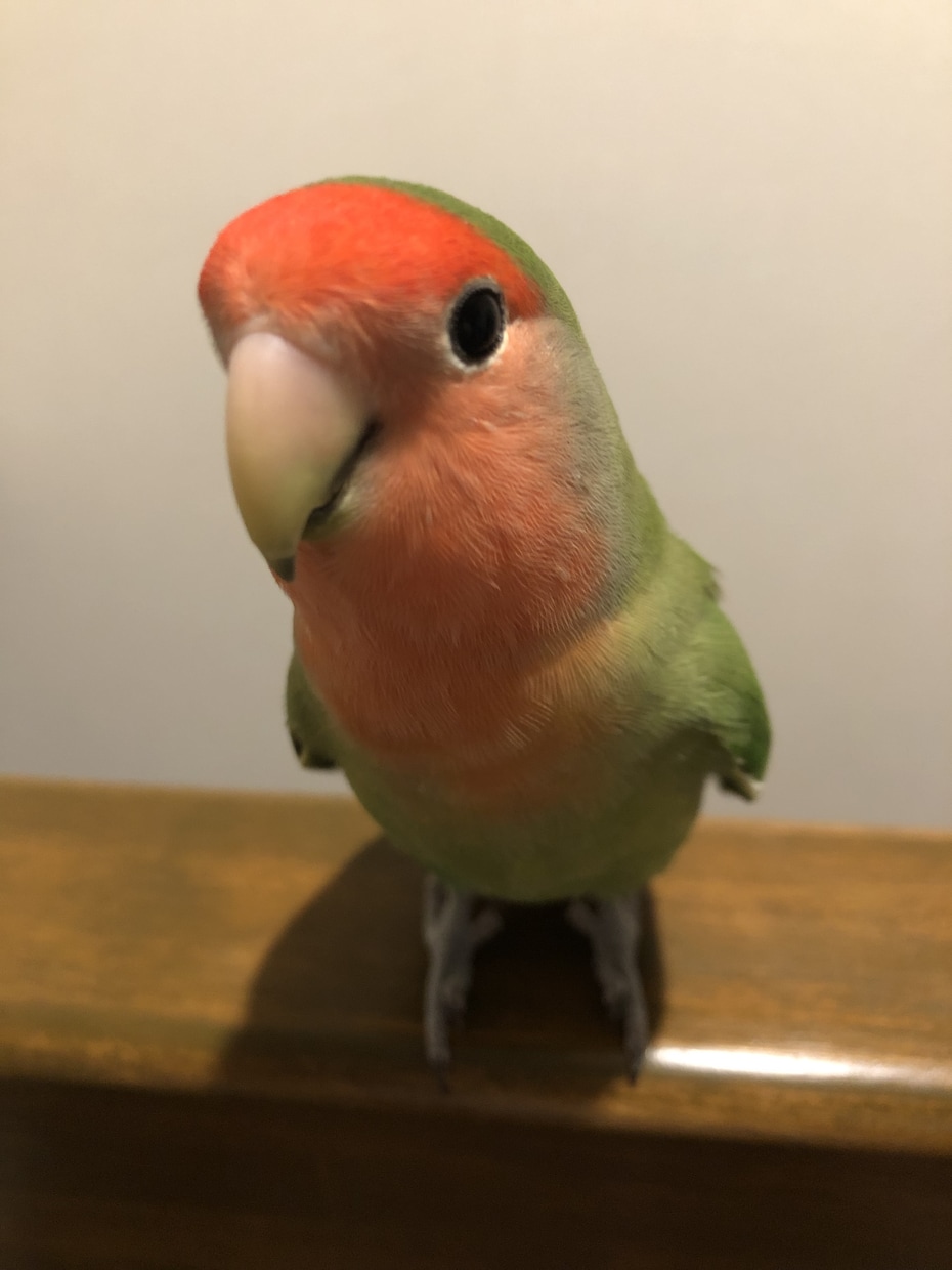 共感します♡なんでも話を聞きます 愚痴、たわいもない話、惚気話、つらかったことなんでも聞きます イメージ3