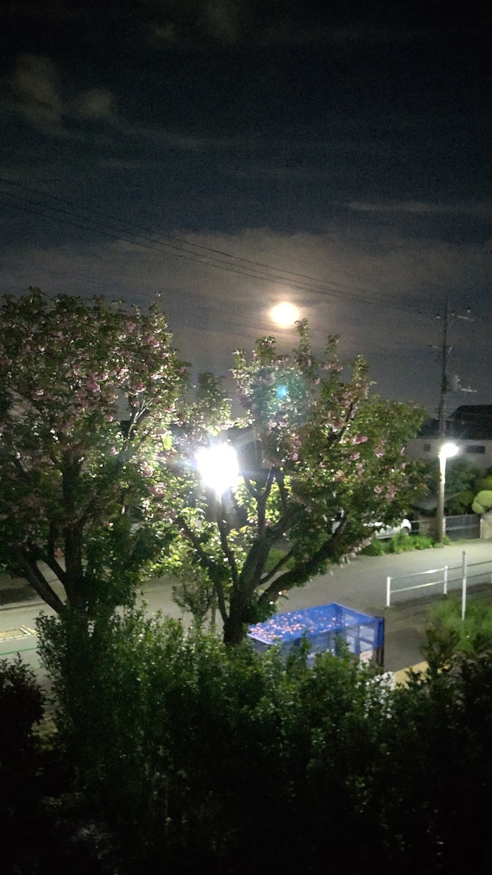 今、悩んで辛い、いる貴方の仕事の悩みを占います 職場の人間関係や転職希望、今の仕事の悩みをご相談ください。 イメージ2