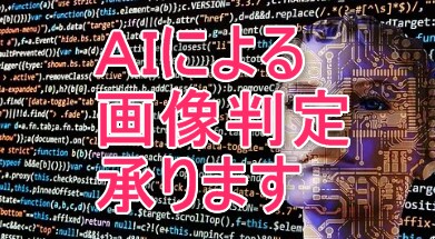 AIをつかってネットから必要な画像を収集します ＡＩが何の写真か判断して選別してくれる！ イメージ1