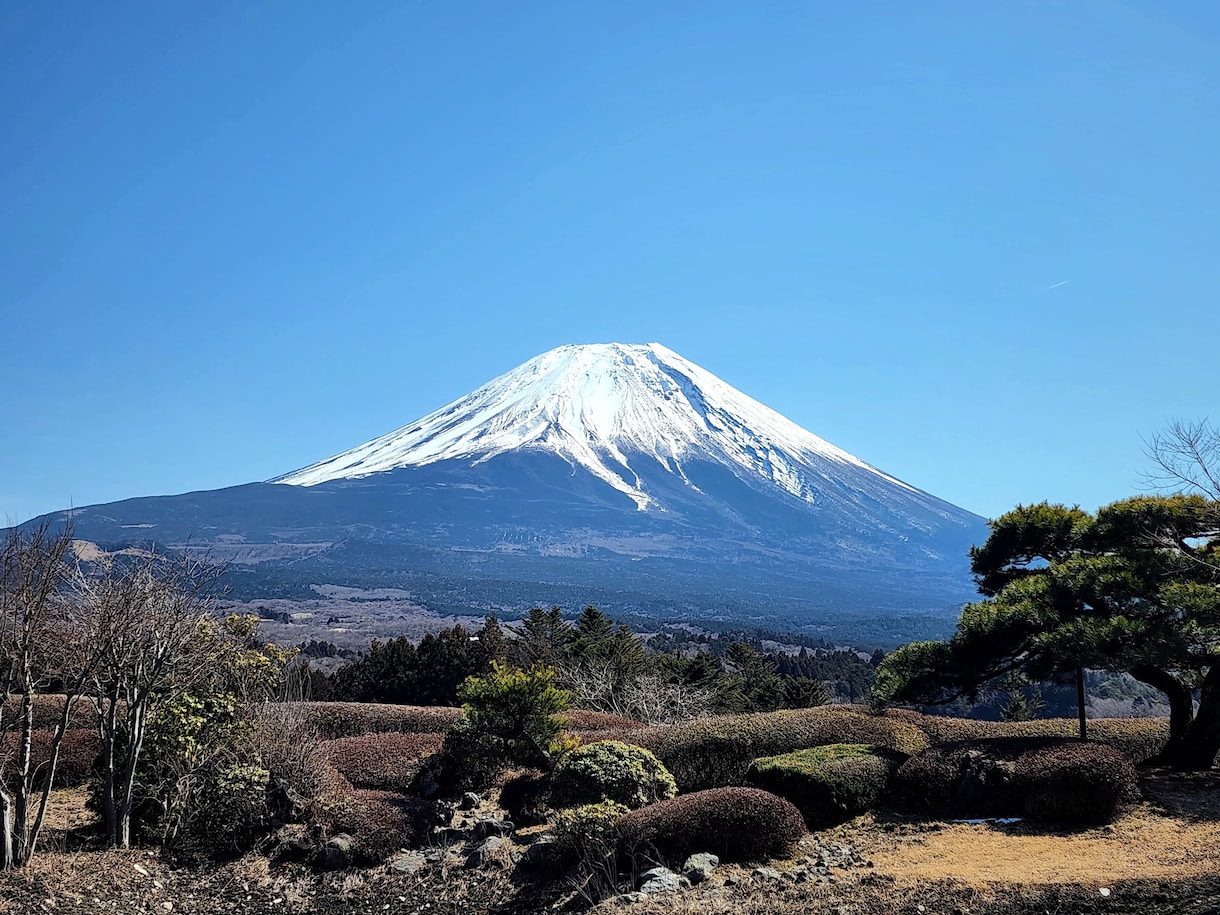 家族も！過去世〜未来世！幸運引き寄せ体質にします さまざまな先祖を供養して家族の幸せ実現しましょう！ イメージ2