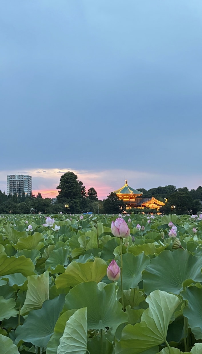 東京旅行の不安を現地目線で解決します 渋谷勤務＆ディズニー好き大学生が東京旅行をサポート！ イメージ1