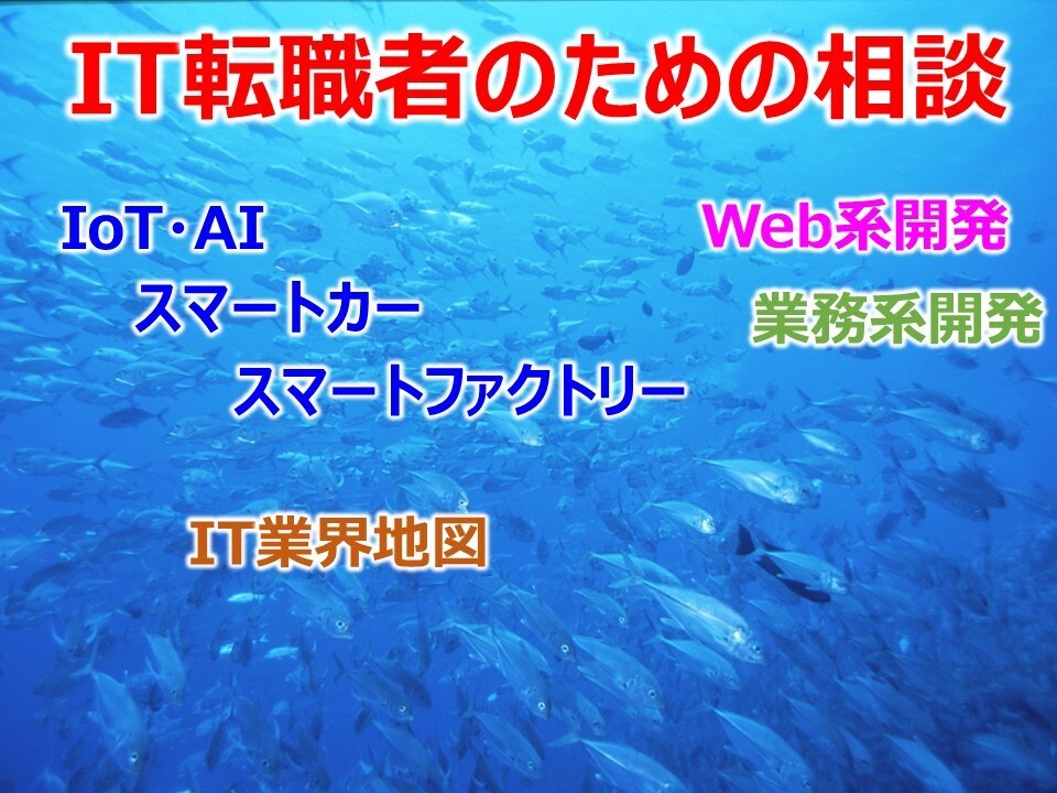 IT系の経験・未経験者の転職・市場感等相談承ります これからのITは何？IT市場の構造とは？チャンスがあるのか？ イメージ1