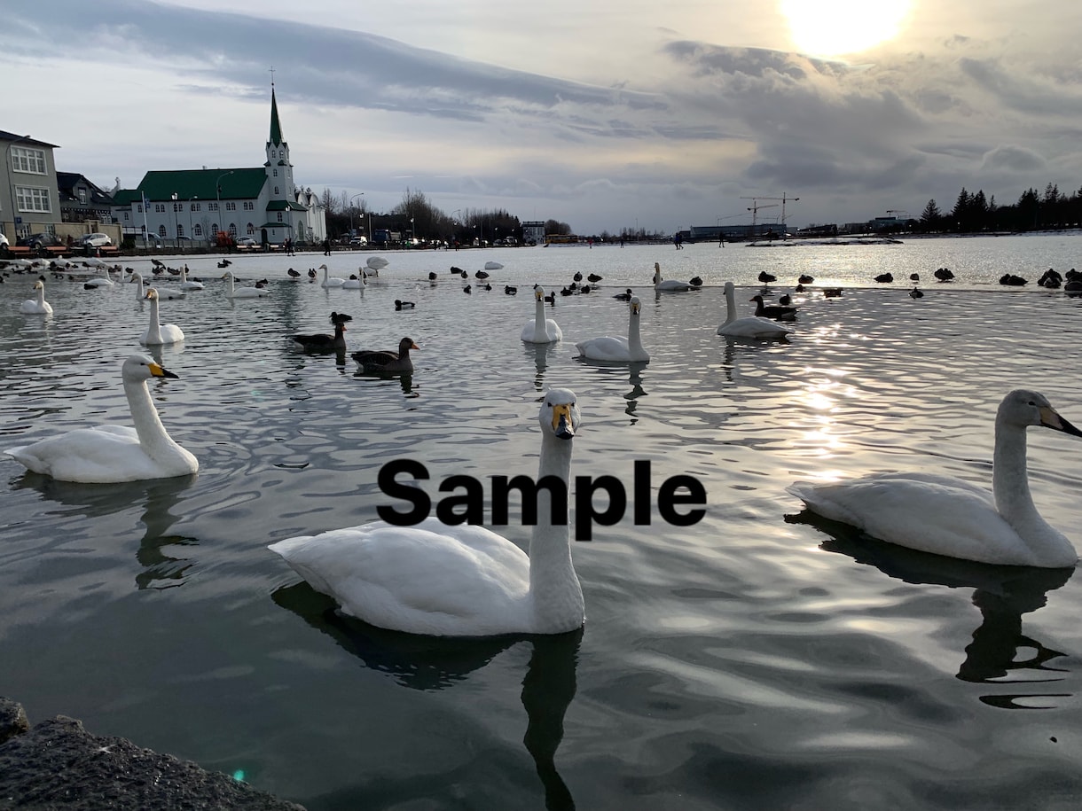 アイスランドまたはヨーロッパでの写真撮影します アイスランドまたはヨーロッパでの写真資料が必要なあなたへ イメージ1