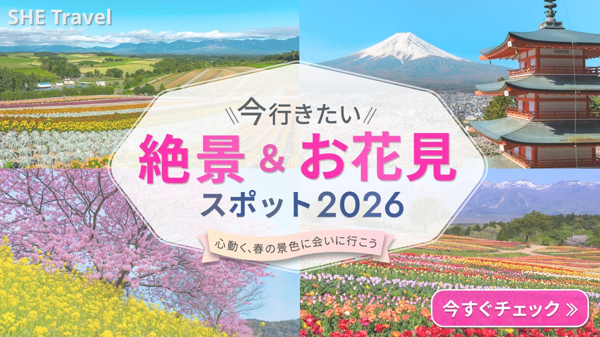 お店のファンを増やす！POPやSNS画像作ります 【飲食店経験】おいしいを伝わるデザインに。 イメージ8