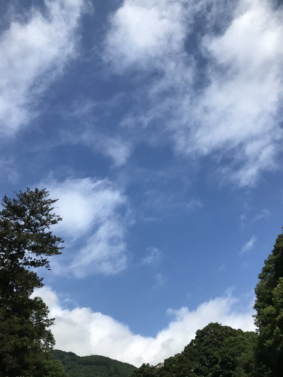 お子さんの困りごとについてのお話なんでも聞きます 小学校教員です。ちょっと気になることなど1分でもお気軽に！ イメージ1