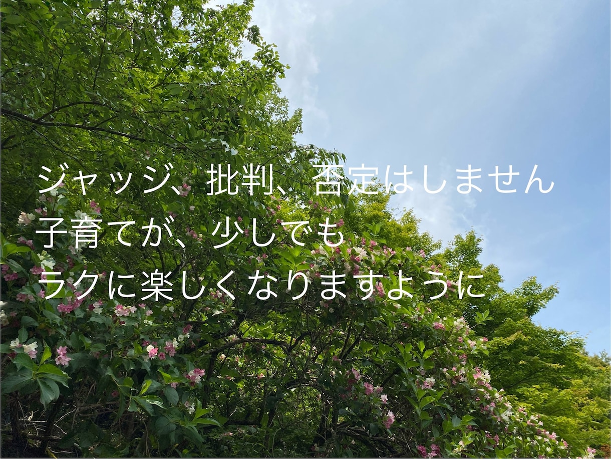 子育て中のお悩みを、ジャッジや批判せずに聴きます 聴いてもらえるだけで癒され、力がわき、子育てが楽になります イメージ1