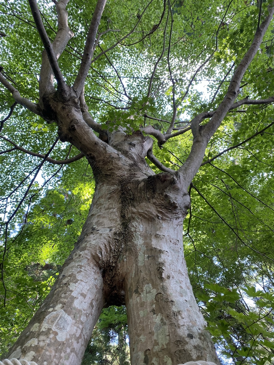 心の共有します 助けてって言って大丈夫です世界には大好きが溢れています。 イメージ4