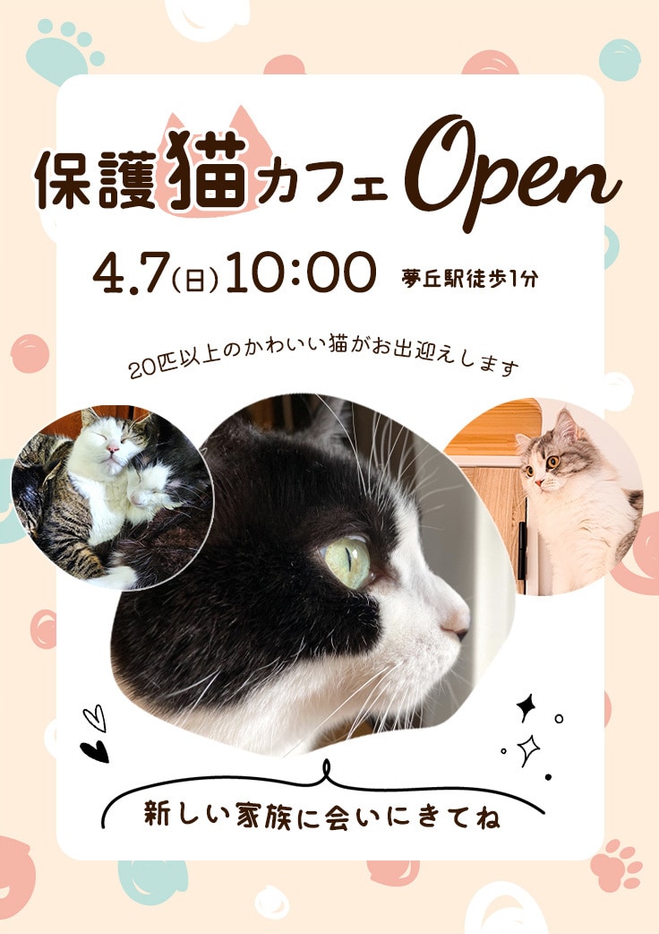 Instagram投稿画像を作成します 伝わるデザインを丁寧に制作します! イメージ1