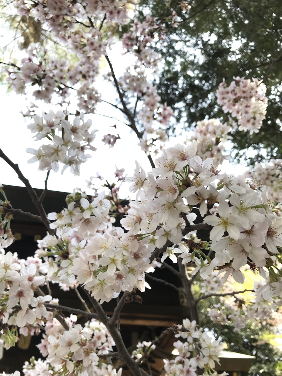 あなたの本質の素晴らしさ見抜きます 仕事、家事育児に頑張るあなたの良さを認めてほめて引き出します イメージ3