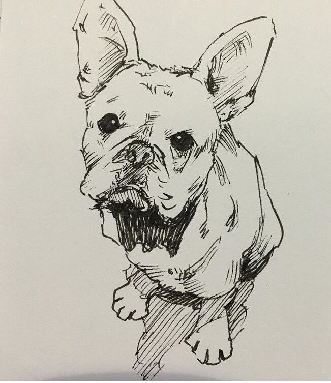ペットの絵を描きます 玄関やトイレ、ちょっとした贈り物に。ペットの画像を描きます。 イメージ1