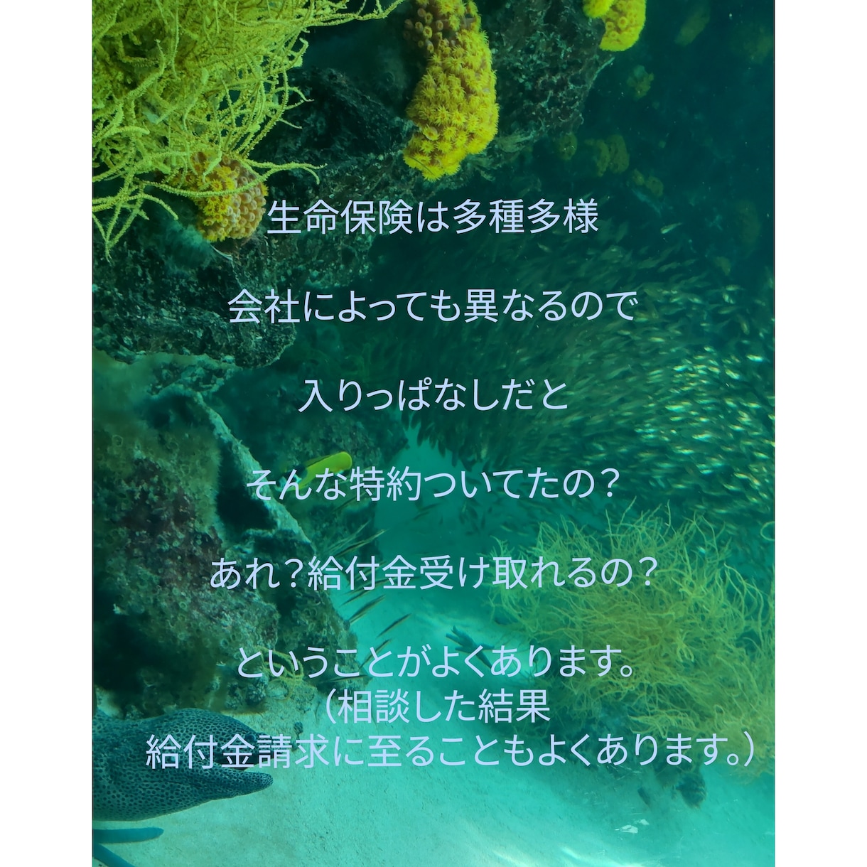 トークで加入内容の説明や疑問点などお答えします 何に備えてるのか忘れちゃったなどの振り返りのお手伝いします。 イメージ2