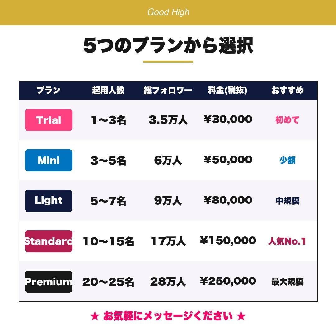 Z世代特化インフルPR10～15名で代行します Standardプラン/Z世代EC運営者の人気No.1PR イメージ4