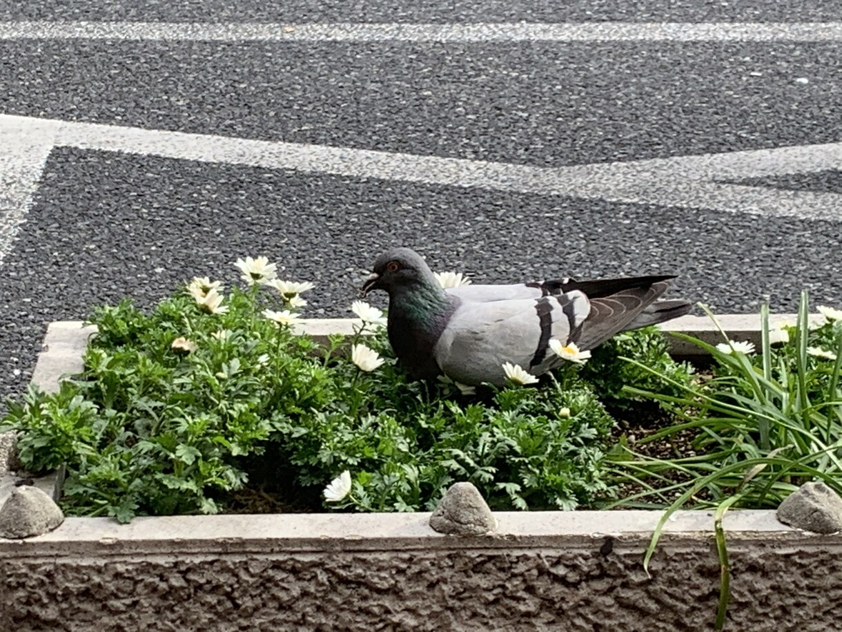 1日お悩み相談受付してます どんな些細な事でもご相談ください。 イメージ1