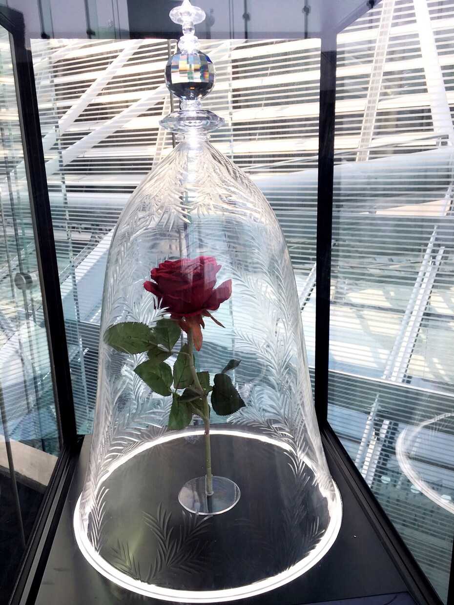 本当に合った結婚相手の診断をいたします 本気で婚活を始めたい方にオススメ‼︎ イメージ2