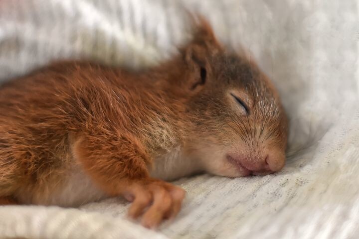 何だか眠れない‥そんなあなたのお話し、お聴きします どんなお話しでも大丈夫、短時間、深いお悩みから世間話まで イメージ3