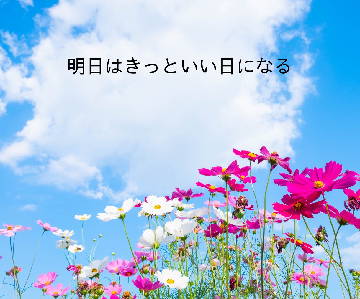 誰かに話したい貴方へ✨️‬優しくお話をお聴きします お悩み/愚痴/雑談/不安…心を整えるお手伝いをします。 イメージ6