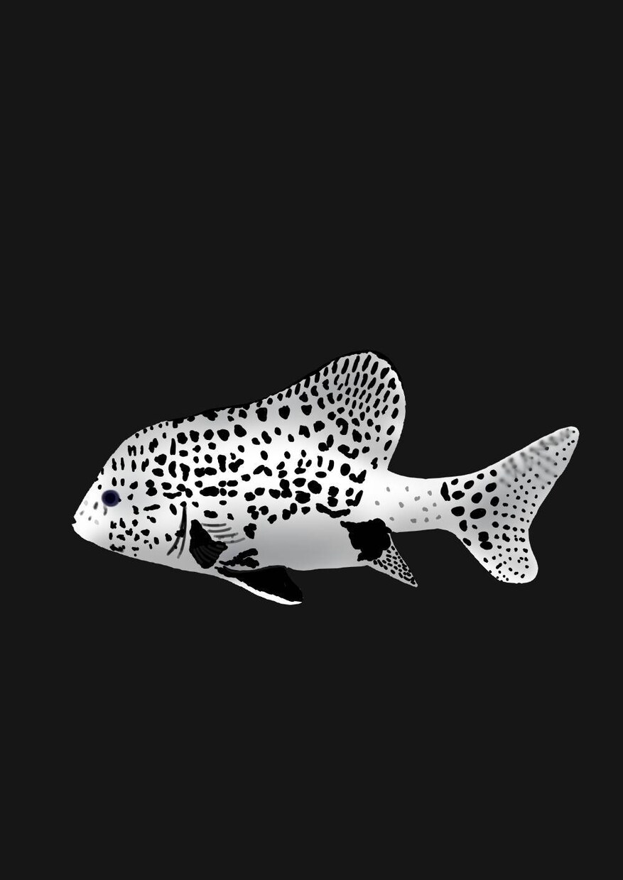 愛するウチのコのイラストを描かせて頂きます 写真をもとに、リアルでありながら温かなイラストに仕上げます。 イメージ4