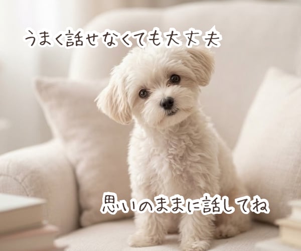 積み重ねてきた想い、丁寧に言語化します 【心理相談室】共感だけでは終わらない《核心》に触れる対話 イメージ7