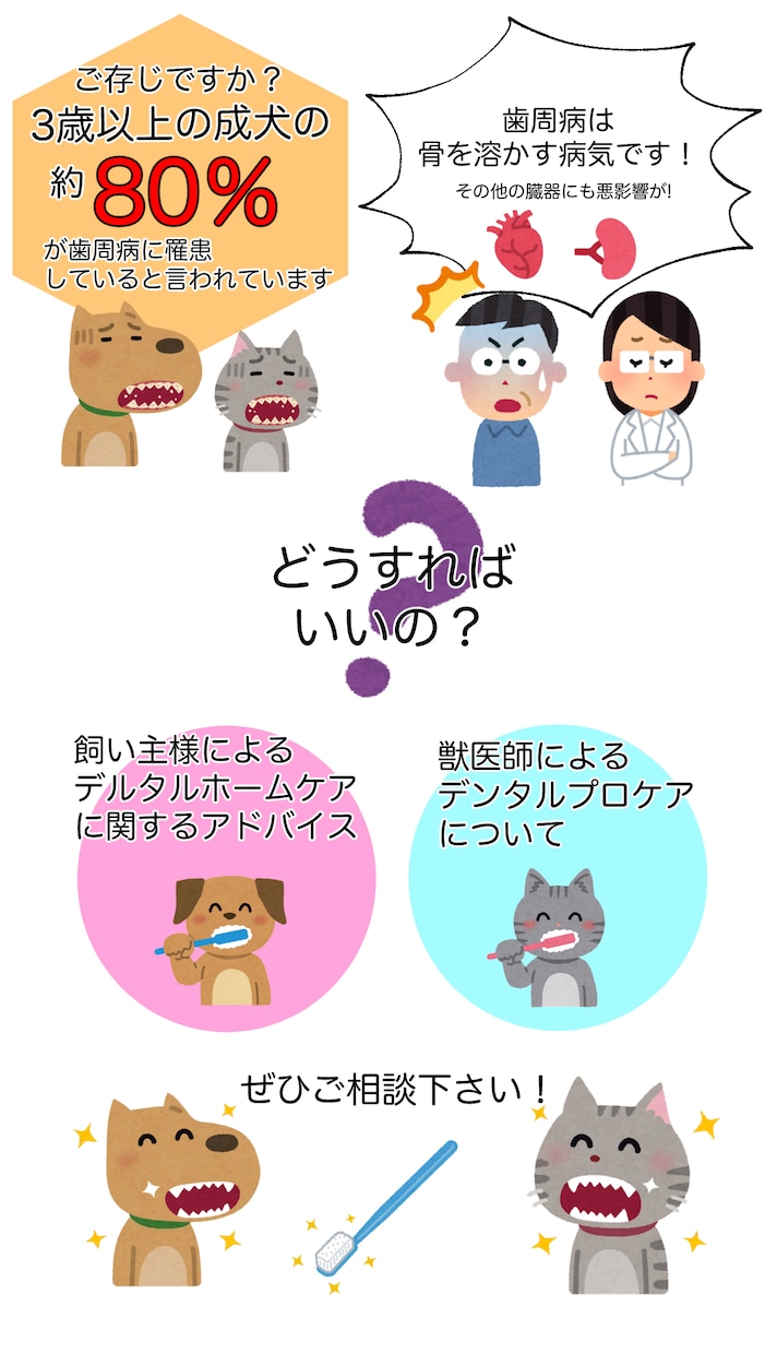 ペット（犬猫）の健康、病気に関して相談乗ります 現役獣医師が飼い主様の気になることにお答えします イメージ3