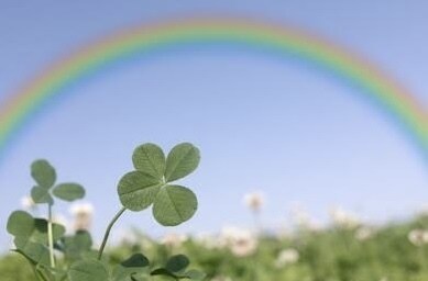 アルコール依存症の方の為の断酒会☘️を致します 断酒会☘️電話はなかなか出来ない方のために⭐️ イメージ9