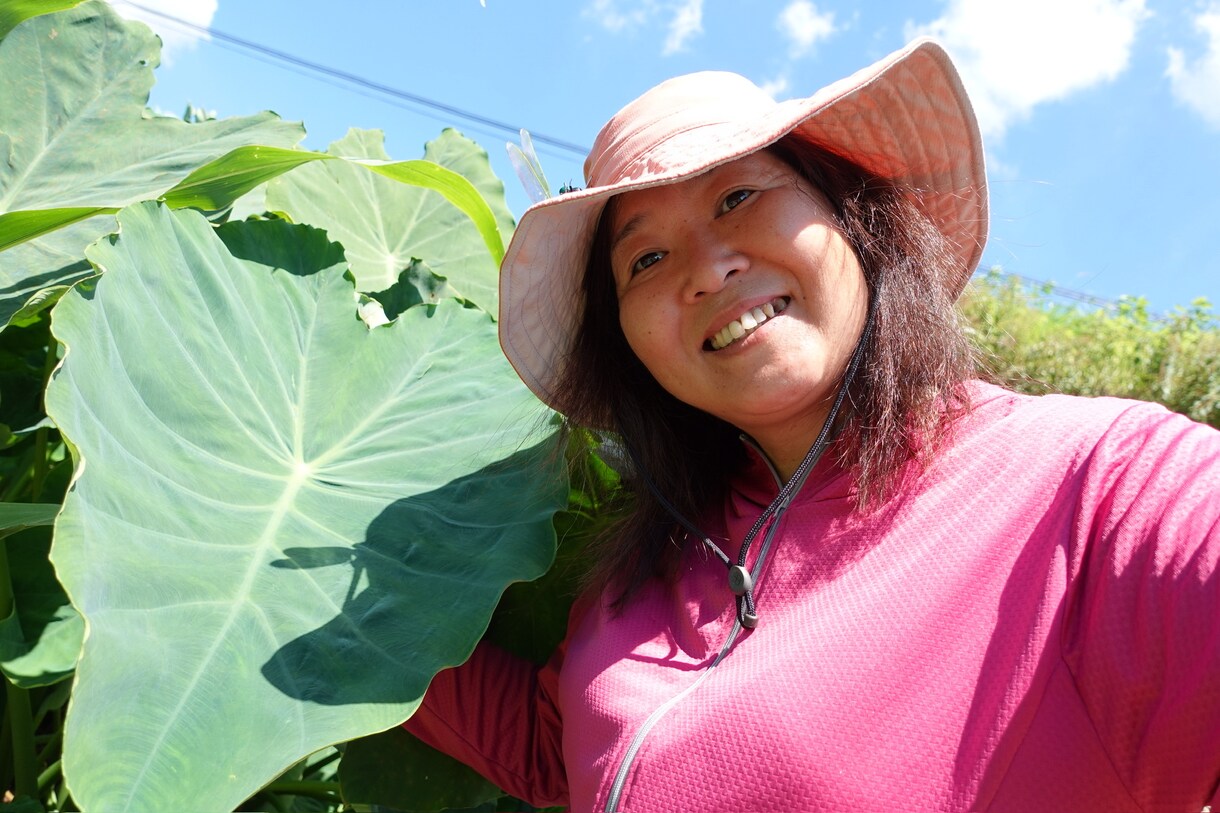 ナチュラル派野菜作りのお悩み相談にのります 10数年、有機・自然栽培で野菜作りをしてきた経験をお話します イメージ1