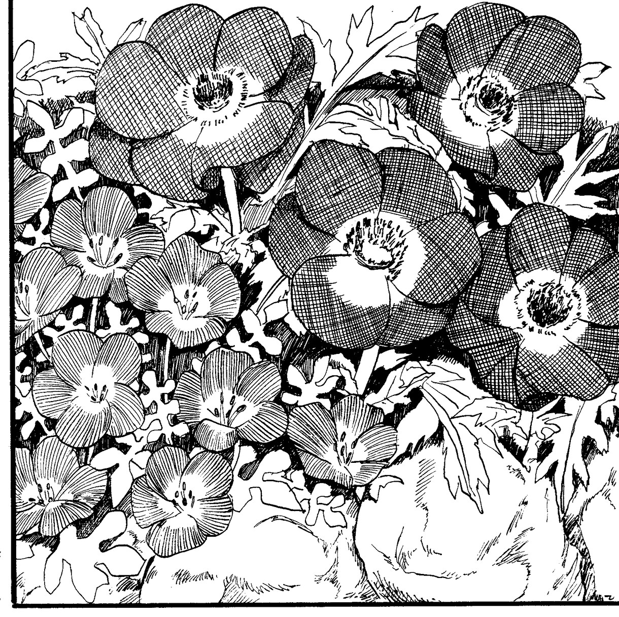 モノクロ短編漫画をお描きします ネーム制作もOK！頭の中のストーリーを形にしてみませんか イメージ7