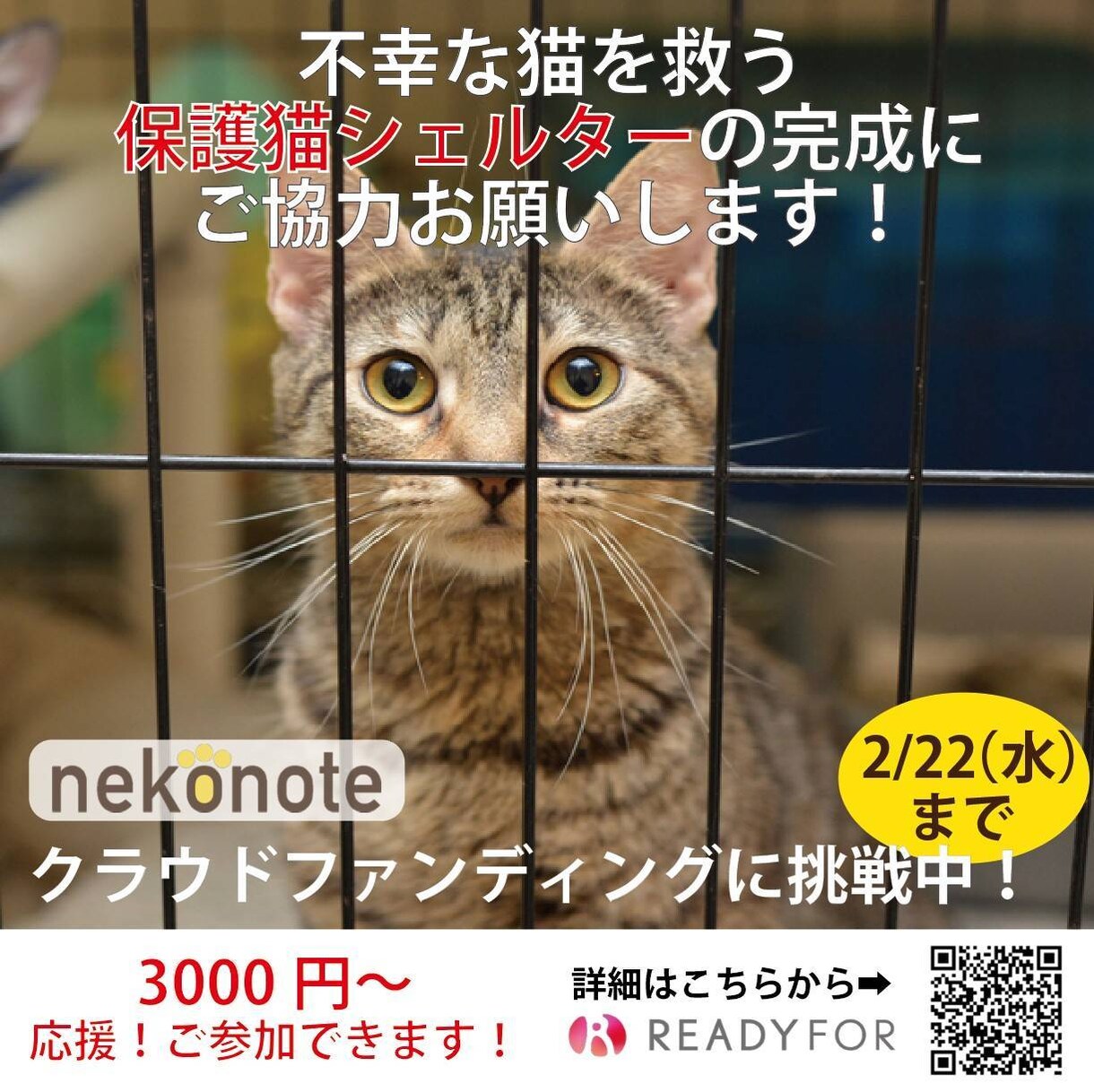 クラファン専門のティザー広告/動画広告制作をします ティザー広告や動画広告(クラウドファンディング専用)作ります イメージ4