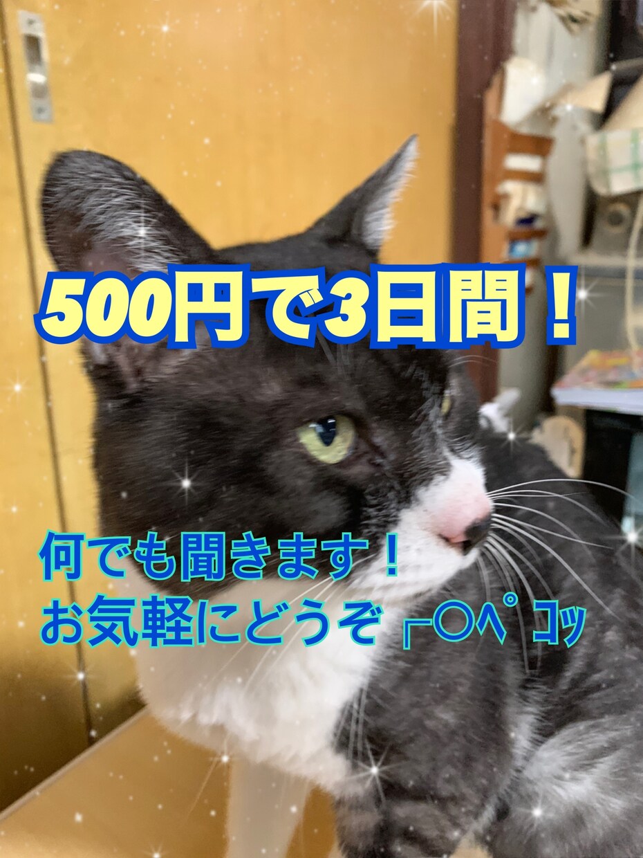 ワンコイン最大3日間、お悩み、相談、グチを聞きます 秘密厳守します！ちょっと誰かと話をしたい時に相手になります！ イメージ2