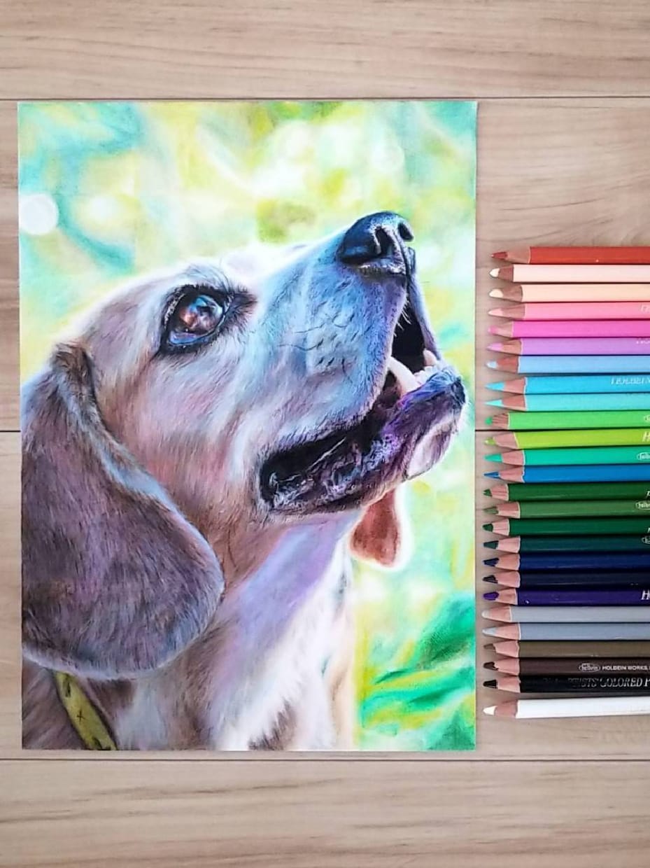 色鉛筆画(キャラクター、動物、風景）を描きます 120色の色鉛筆を駆使して描きます。 イメージ1