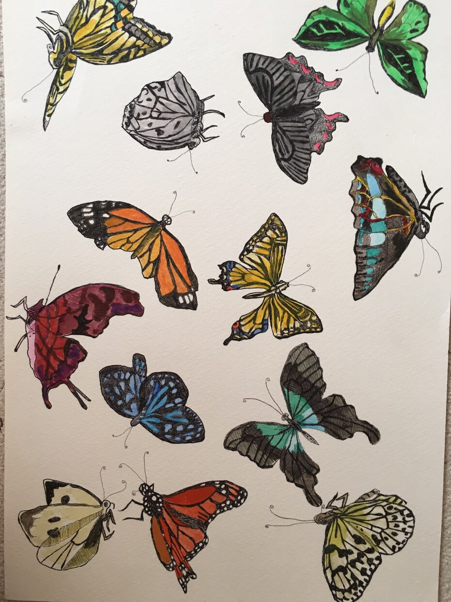 好きな動物、昆虫、花などを絵にします 大切なものを絵に残したいあなたへ イメージ3