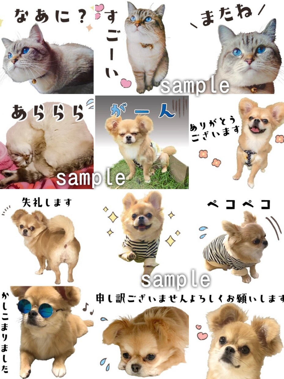 ペットのお写真でLINEスタンプ8個制作します 作成～申請までお任せください♪ イメージ5