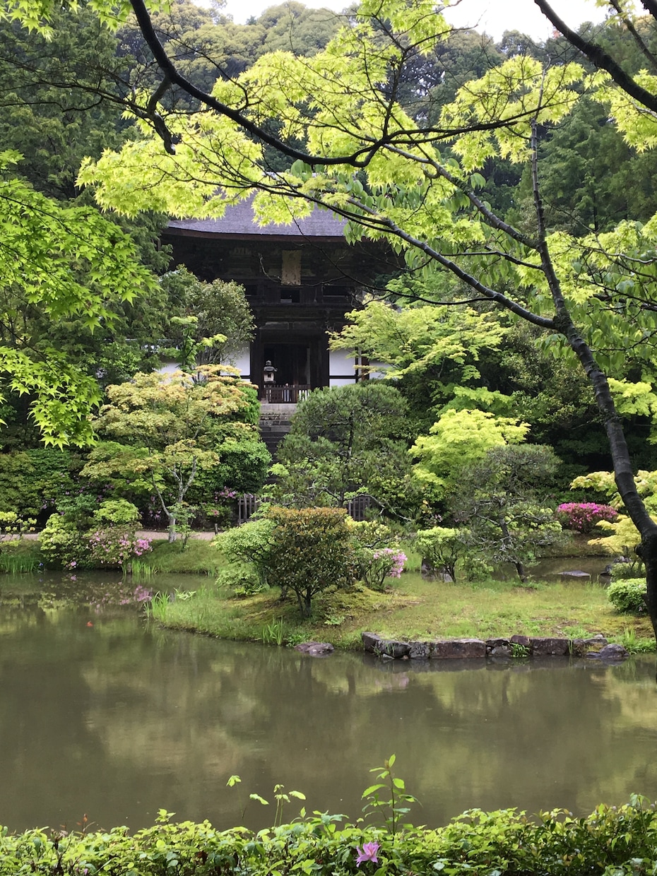 正直に真実をお伝えします 恋愛・複雑な恋愛・不倫・人間関係・仕事・子育て・金銭・など イメージ3