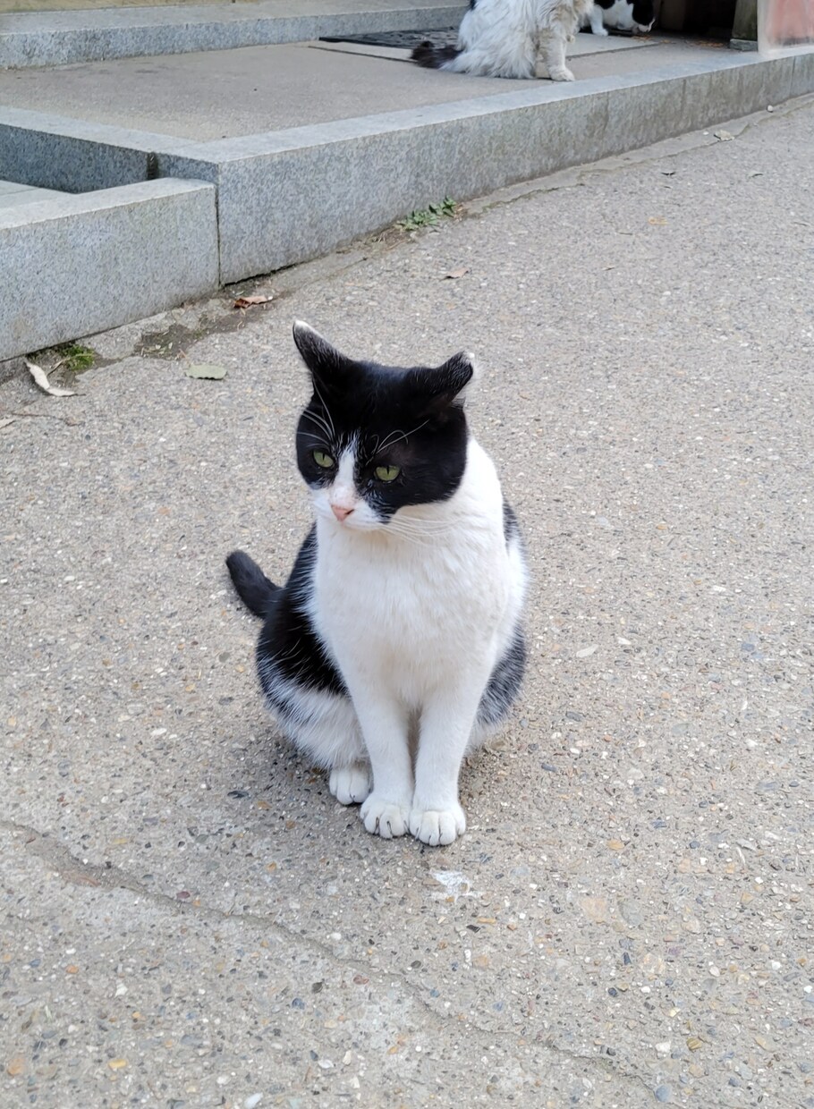 がむしゃらに頑張っている皆さん！お話聞きます 時には息抜きして、何でもフリーにお話してみませんか。 イメージ1