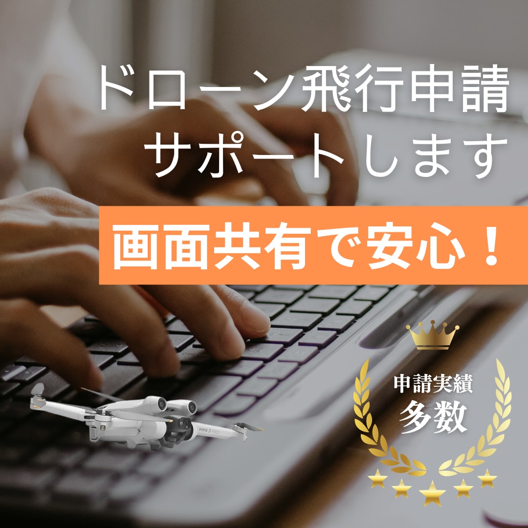 ドローンの飛行申請（DIPS2.0）サポートします 画面共有で安心！ドローン申請を分かりやすくサポート！ イメージ1
