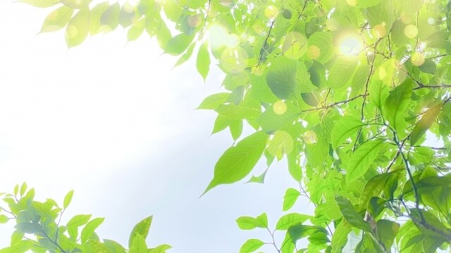 妊活・不妊でお悩み中のあなたの心に寄り添います 妊活中のストレス|夫婦関係|妊活専門カウンセラーがサポート イメージ10