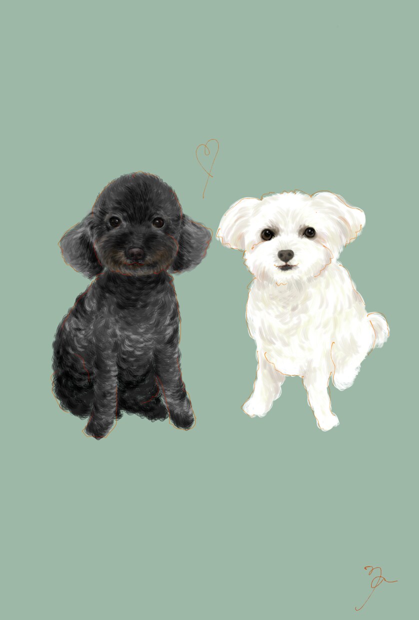 お気に入りの写真からペットのイラストを描きます リアルだけど温かみのあるデジタルイラストいかがですか？ イメージ10