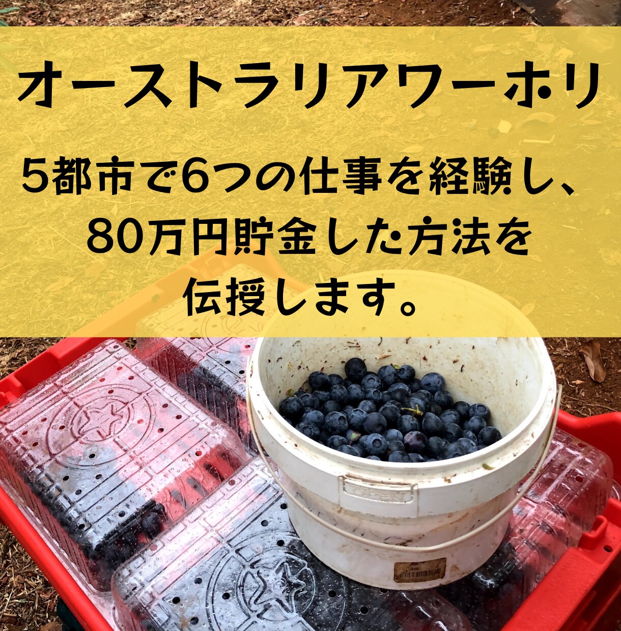 オーストラリアワーホリ経験者が相談に乗ります 5都市で6つの仕事を経験し、80万円貯金した方法を共有します イメージ1