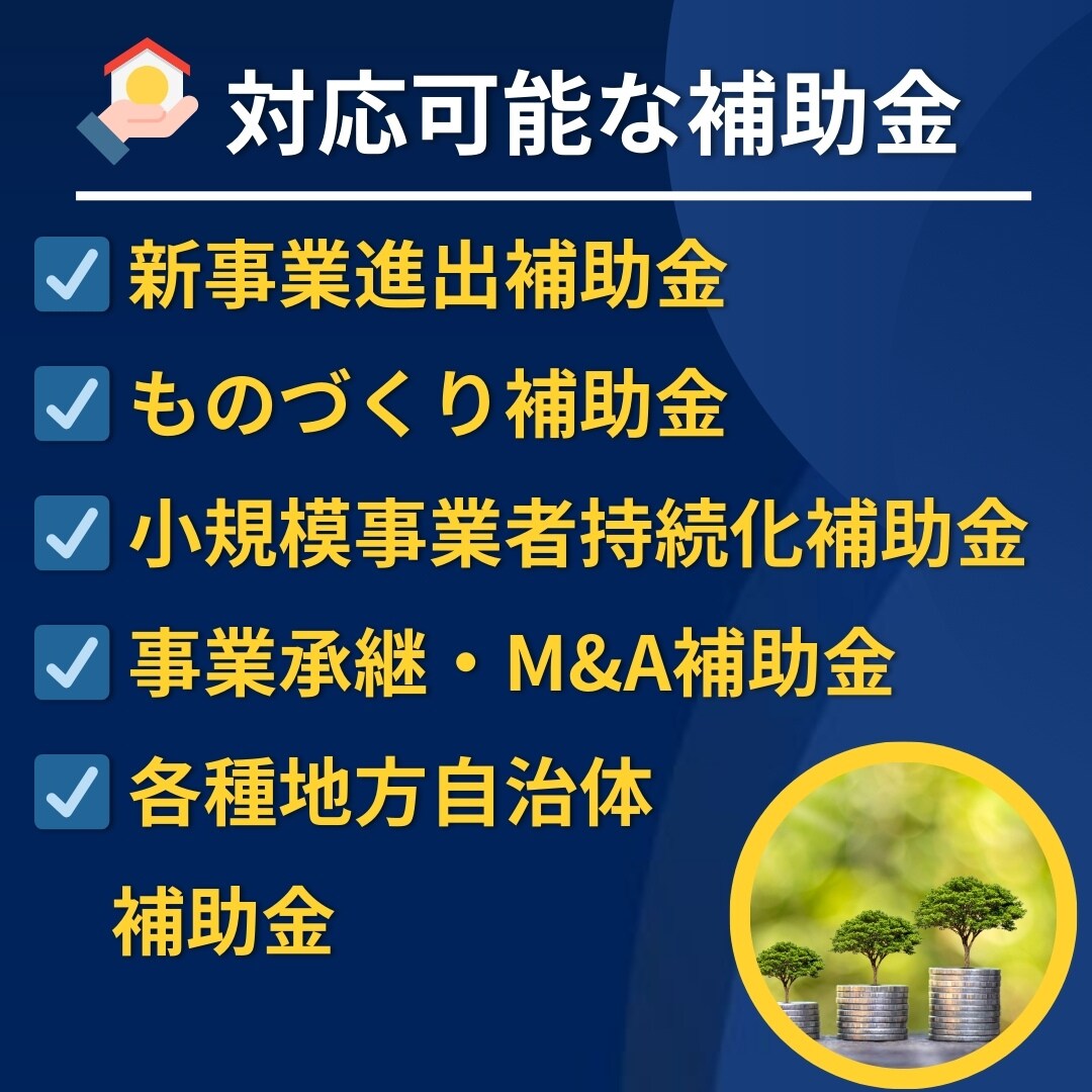 小規模事業者持続化補助金の計画書をサポートします 補助金業務10年、140社の実績でサポート！ イメージ3