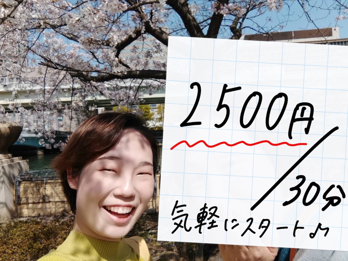 英語を楽しむ！オンライン英会話レッスンします TOEIC970点の講師が英会話を1からサポート！ イメージ2