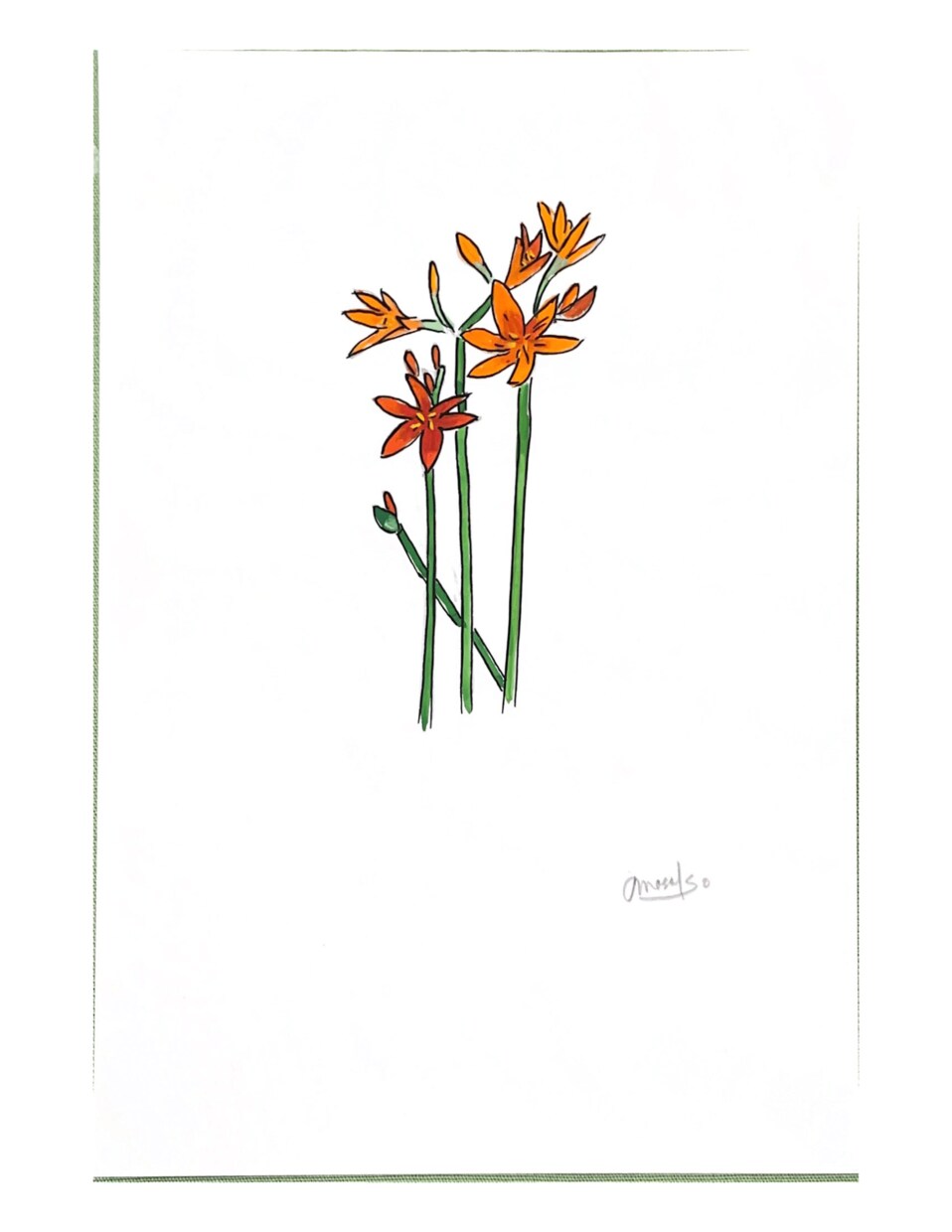 好きなお花を 鮮やかな手書きの一枚絵にします 色あざかやなデザイン画をお部屋のアクセントに！ イメージ6