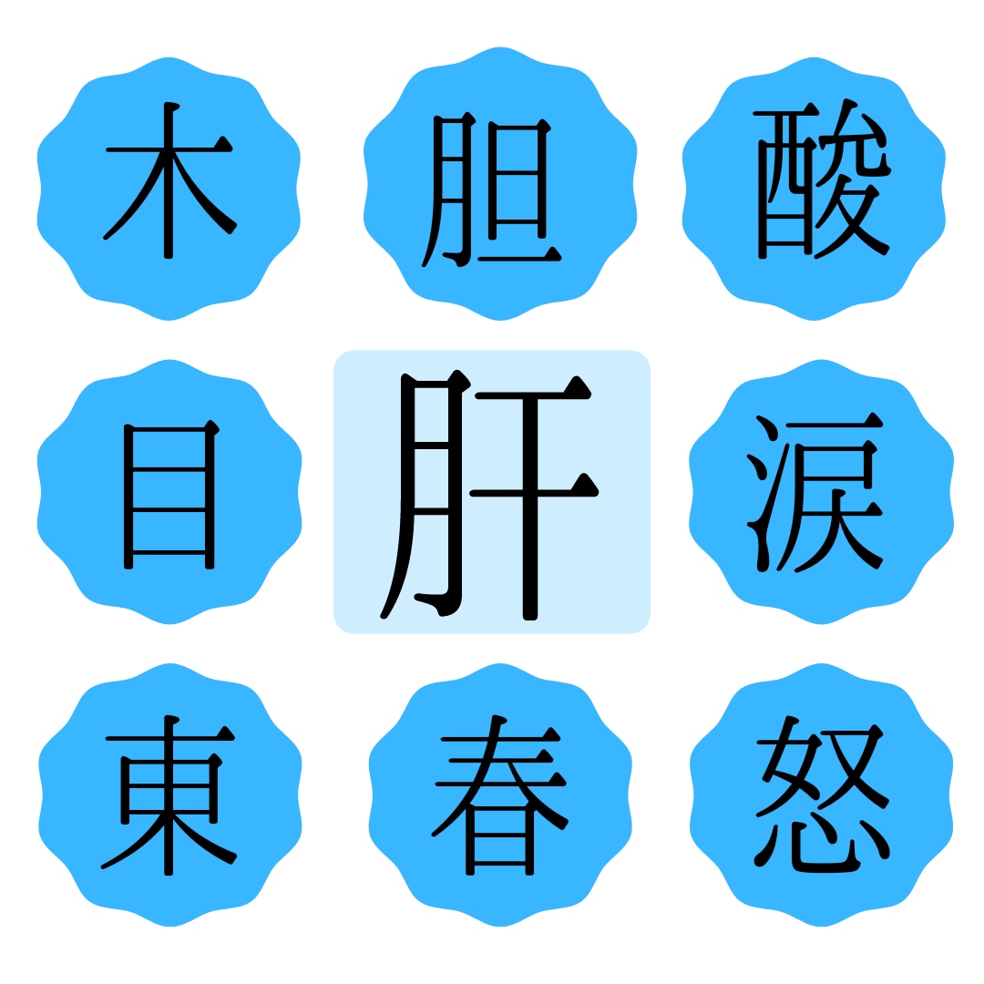 鍼灸国家試験対策！午後の東洋医学系問題解説します 国家試験午後範囲の東洋医学系の問題を解説します。 イメージ1