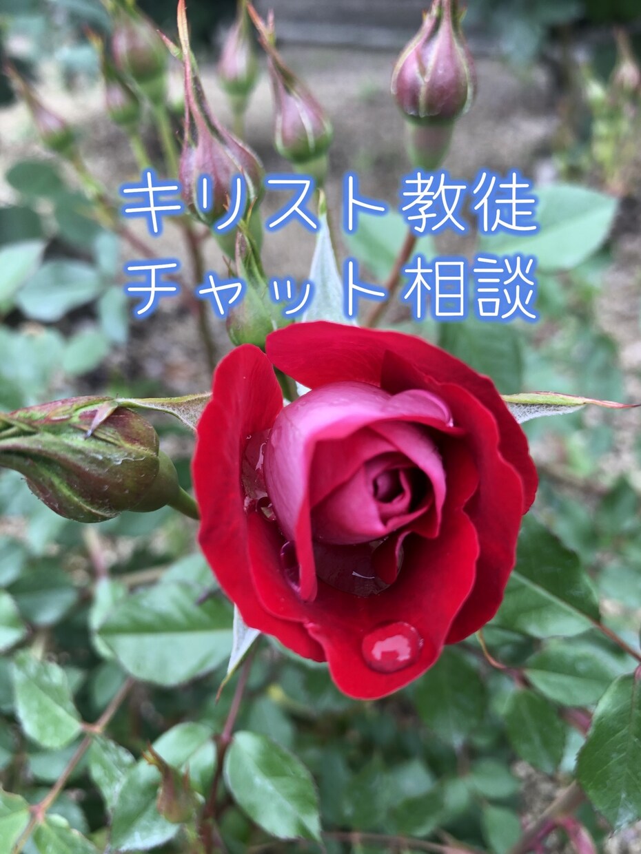 キリスト教、チャット(文章)で相談できます 電話では難しいお方に対してサービスを始めました イメージ1