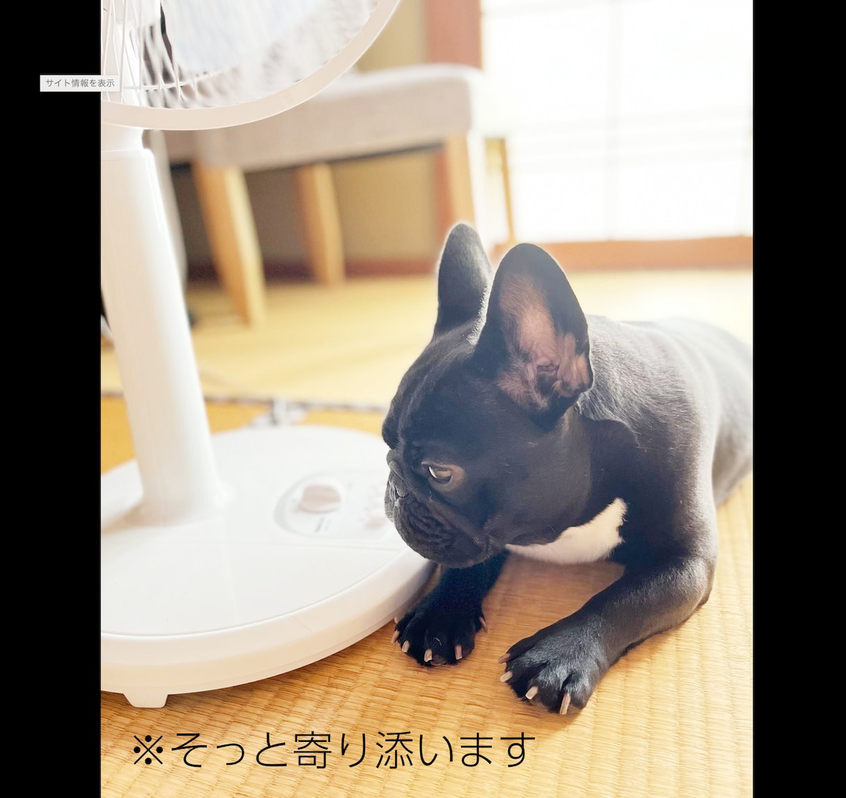 あなたの話、私が聞きます。ちょこっとでも聞きます 知らない相手だからこそ気兼ねなく話せる。人生経験豊富の社長に イメージ2