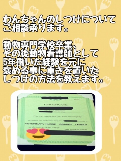 わんちゃんのしつけのご相談承ります 動物専門学校卒業、元動物看護師がしつけ教室します! イメージ1