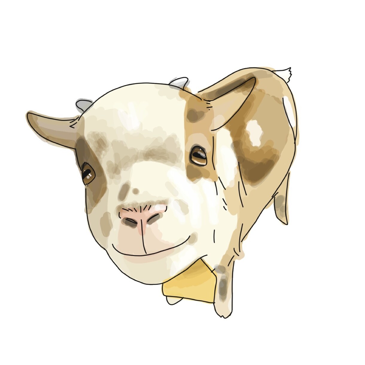 あなたの大切なペットをかわいいイラストにします 思い出に！プレゼントに！ペットのほんわかシンプルイラストを♪ イメージ7